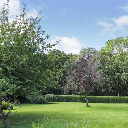 Woodland House B & B Wimborne Minster Eksteriør bilde