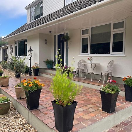 Woodland House B & B Wimborne Minster Eksteriør bilde