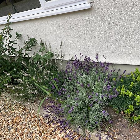Woodland House B & B Wimborne Minster Eksteriør bilde
