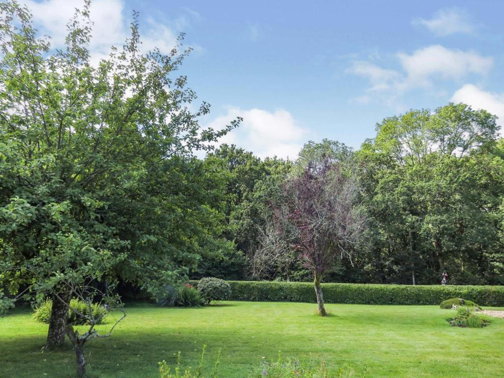 Woodland House B & B Wimborne Minster Eksteriør bilde
